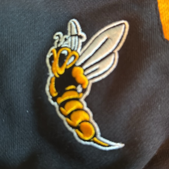 University of Wisconsin Superior UWS Yellowjackets Hooded Sweatshirt Small - Picture 10 of 10